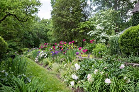 Zone 9 Gardens: A Journey Through Aromatic Landscapes and Abundant Harvests!